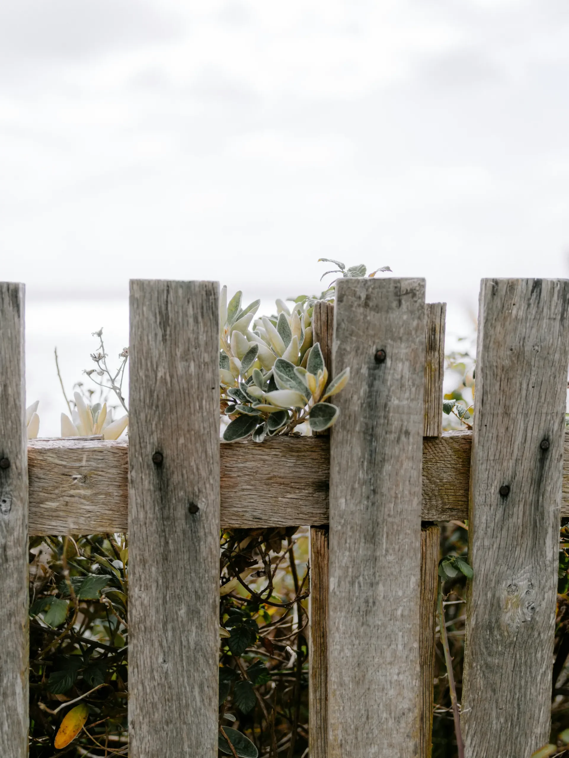 Fence surface showing wear prior to Precision Painters restoration
